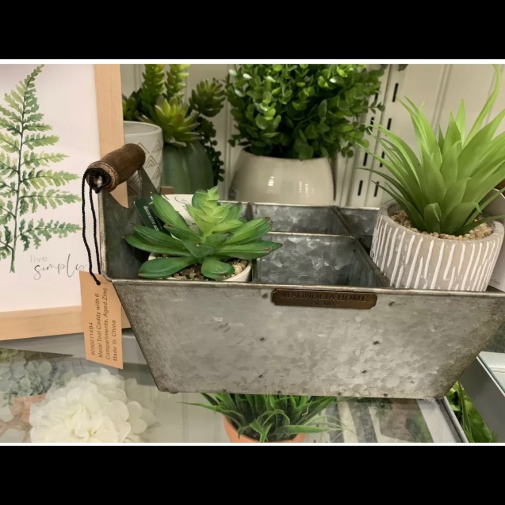 Magnolia home